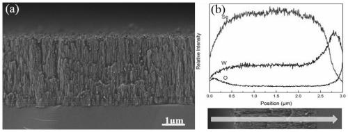 MSe2 thin film material and preparation method and application thereof