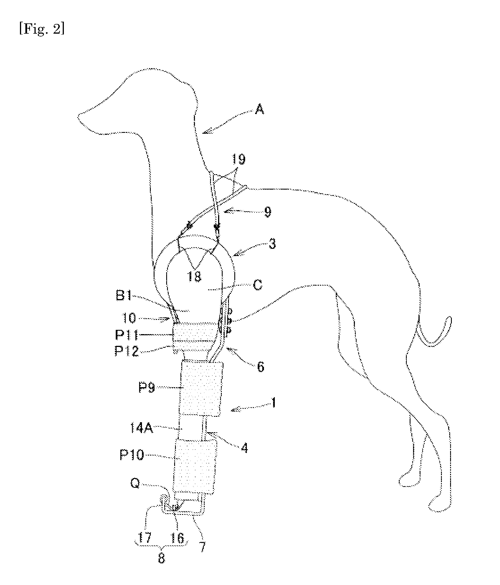 External fixation device for fracture treatment of animals and method for treating fractures of animals using the device