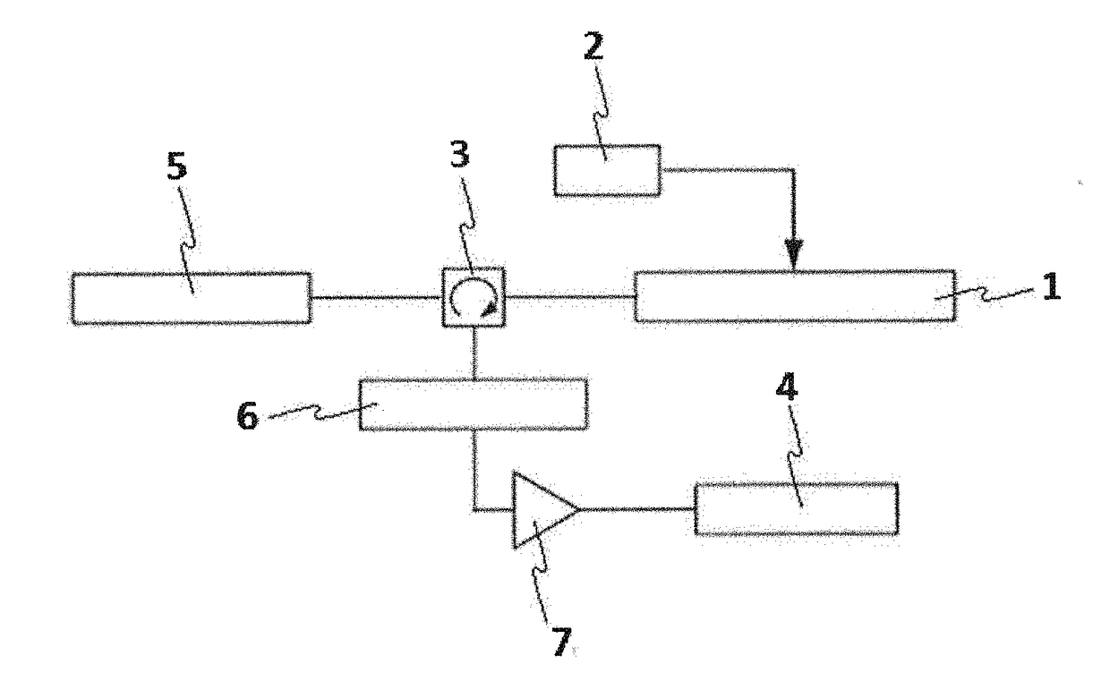 Nuclear Spin Polarization Enhancing Method Through Dynamic Nuclear Polarization by Using Soluble Pentacene