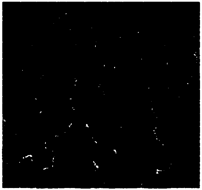 Preparation method of magnetic nano photosensitizer composite system