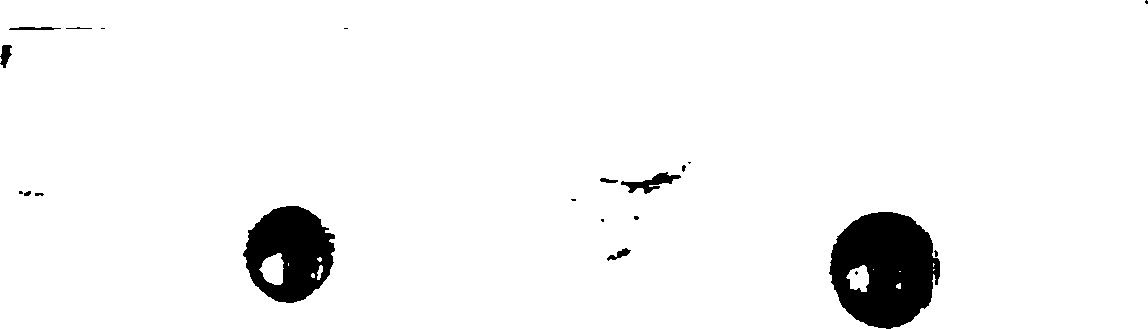 Eye-to-computer cursor automatic positioning controlling method and system