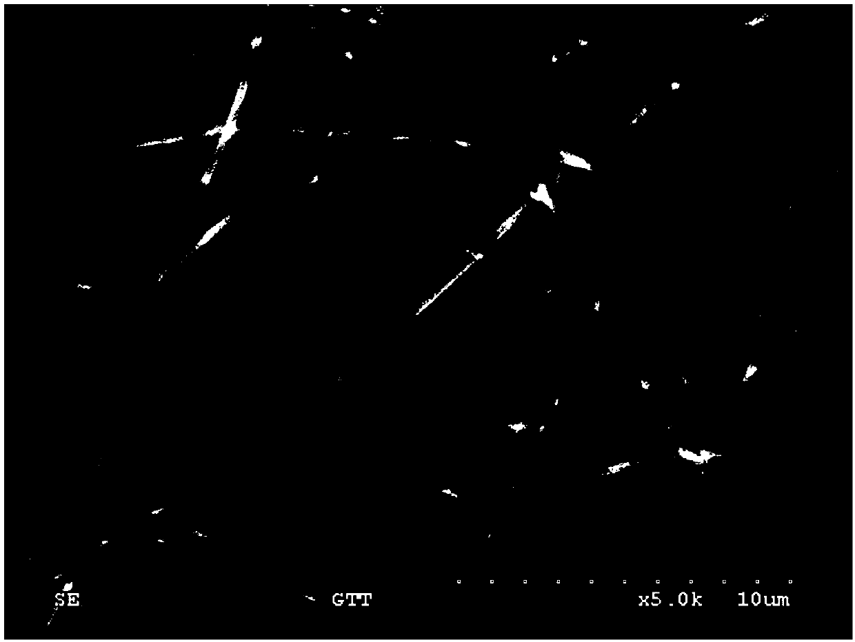 Collagen nano instant mask taking aureobasidium pullulans polysaccharide as framework and preparation method