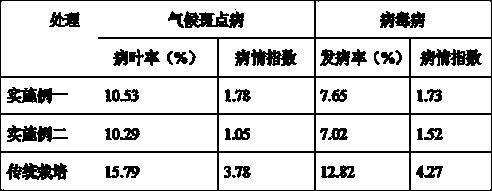 Tobacco cultivating method