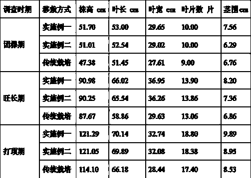 Tobacco cultivating method