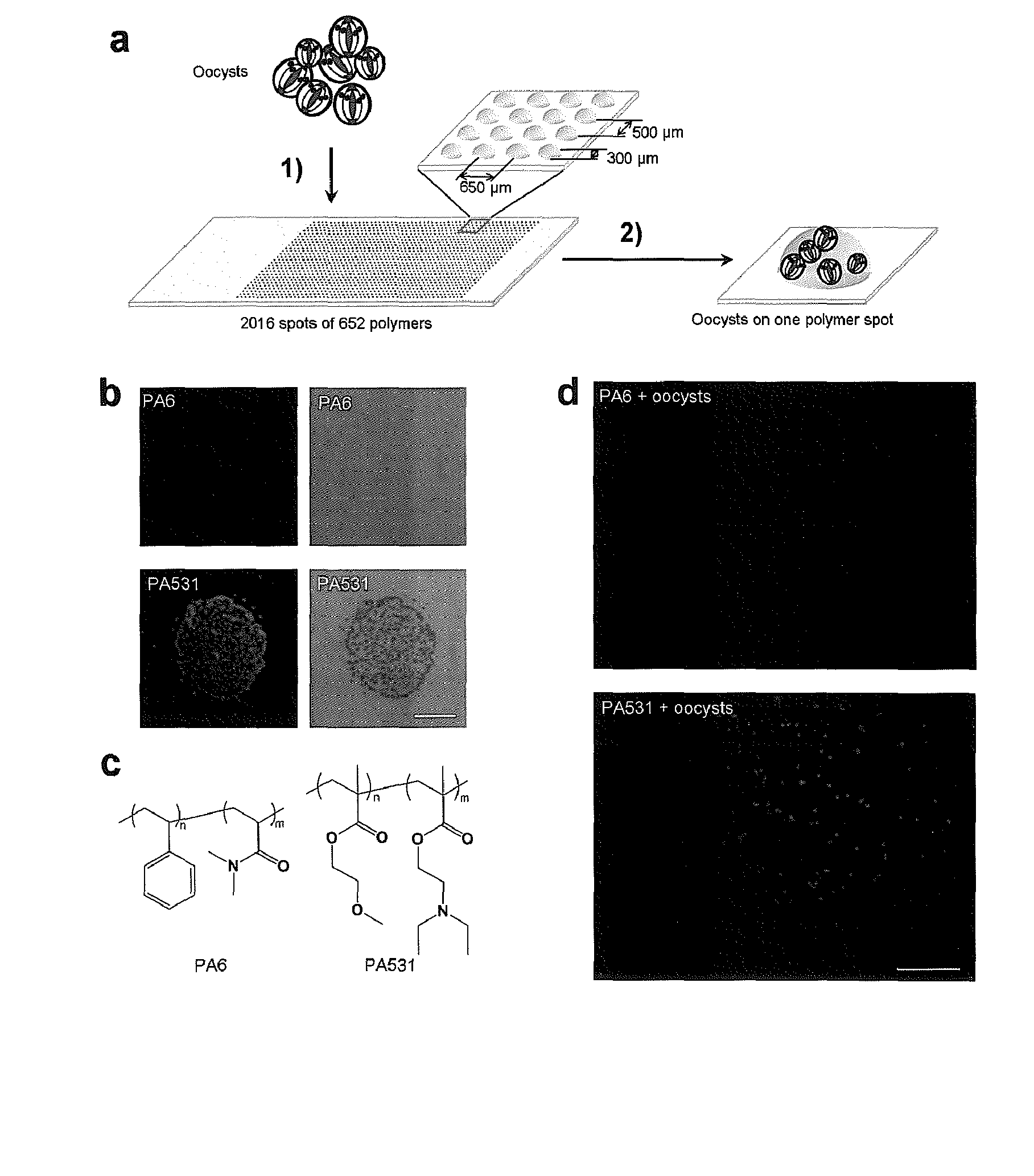 Water Treatment and Monitoring