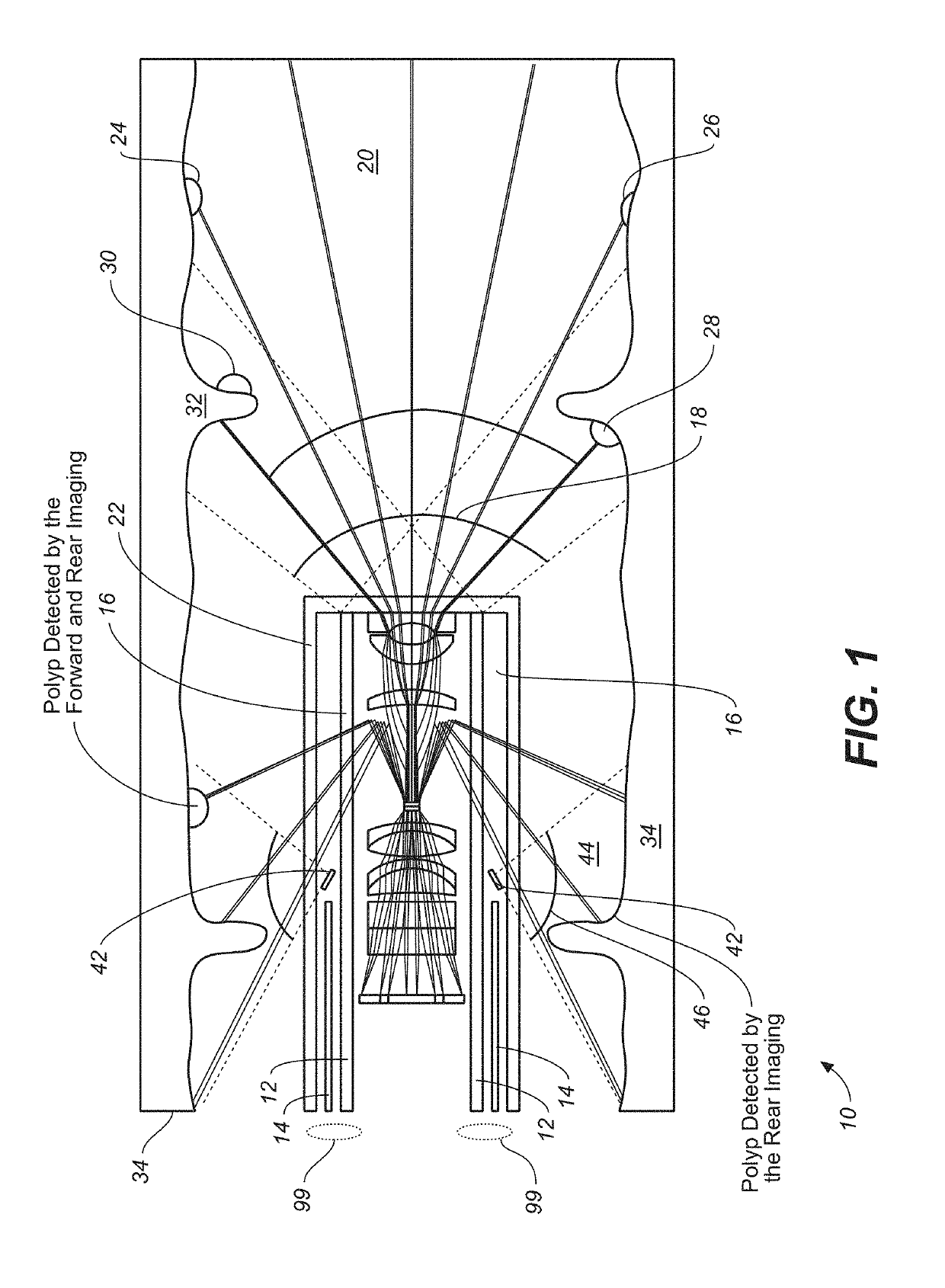 Dual-view probe for illumination and imaging, and use thereof