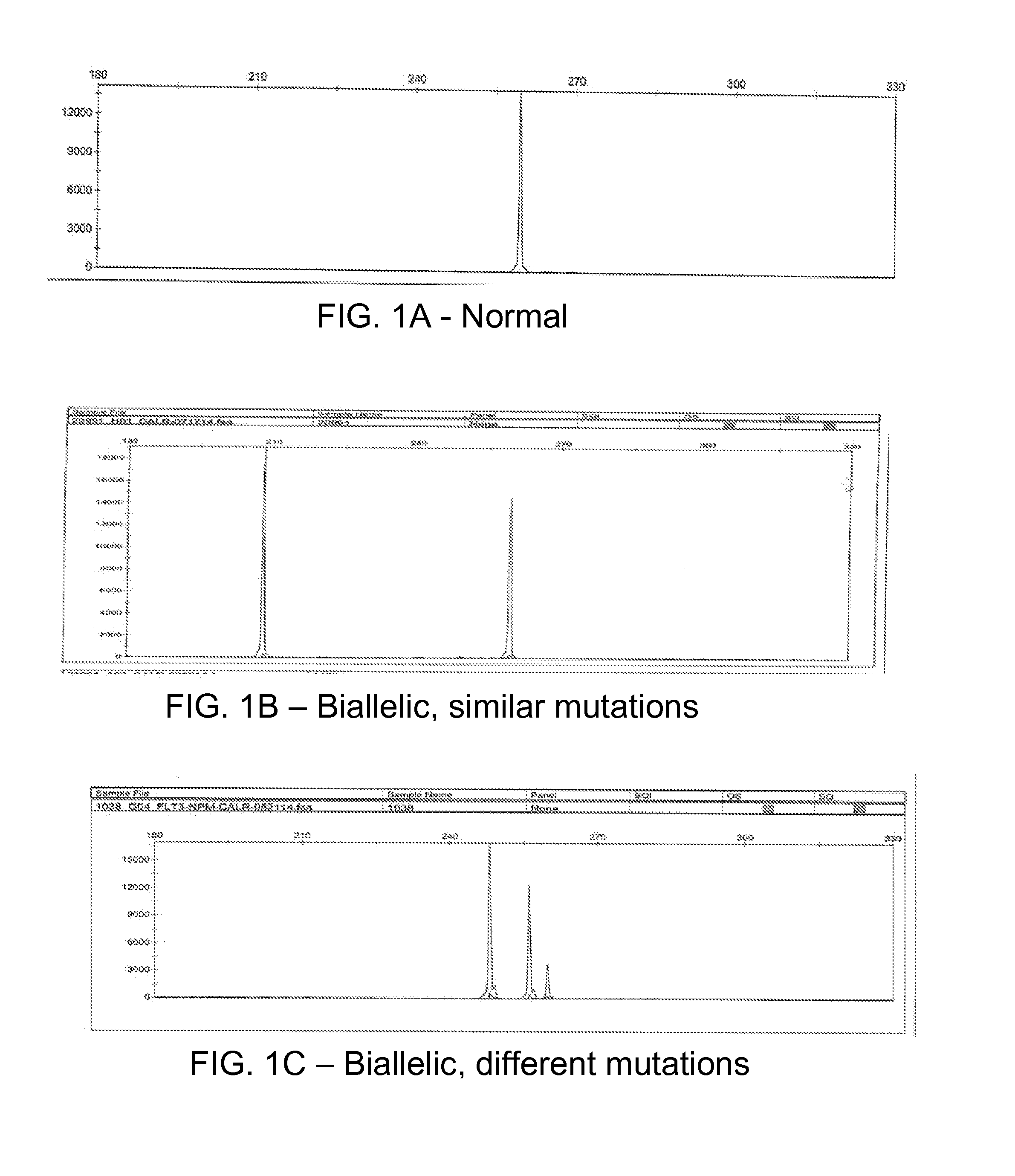 Determining tumor load and biallelic mutation in patients with calr mutation using peripheral blood plasma