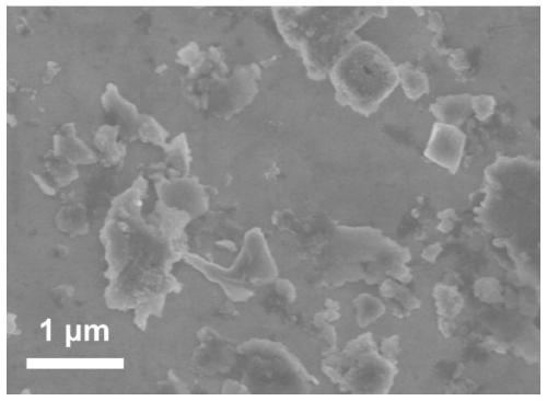 Metal material and metal material surface in-situ dissolution modification method