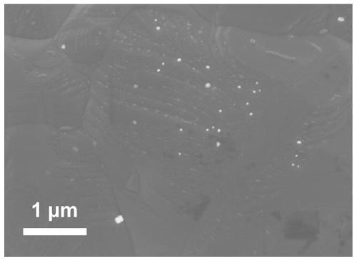 Metal material and metal material surface in-situ dissolution modification method