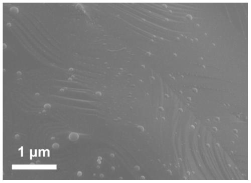 Metal material and metal material surface in-situ dissolution modification method