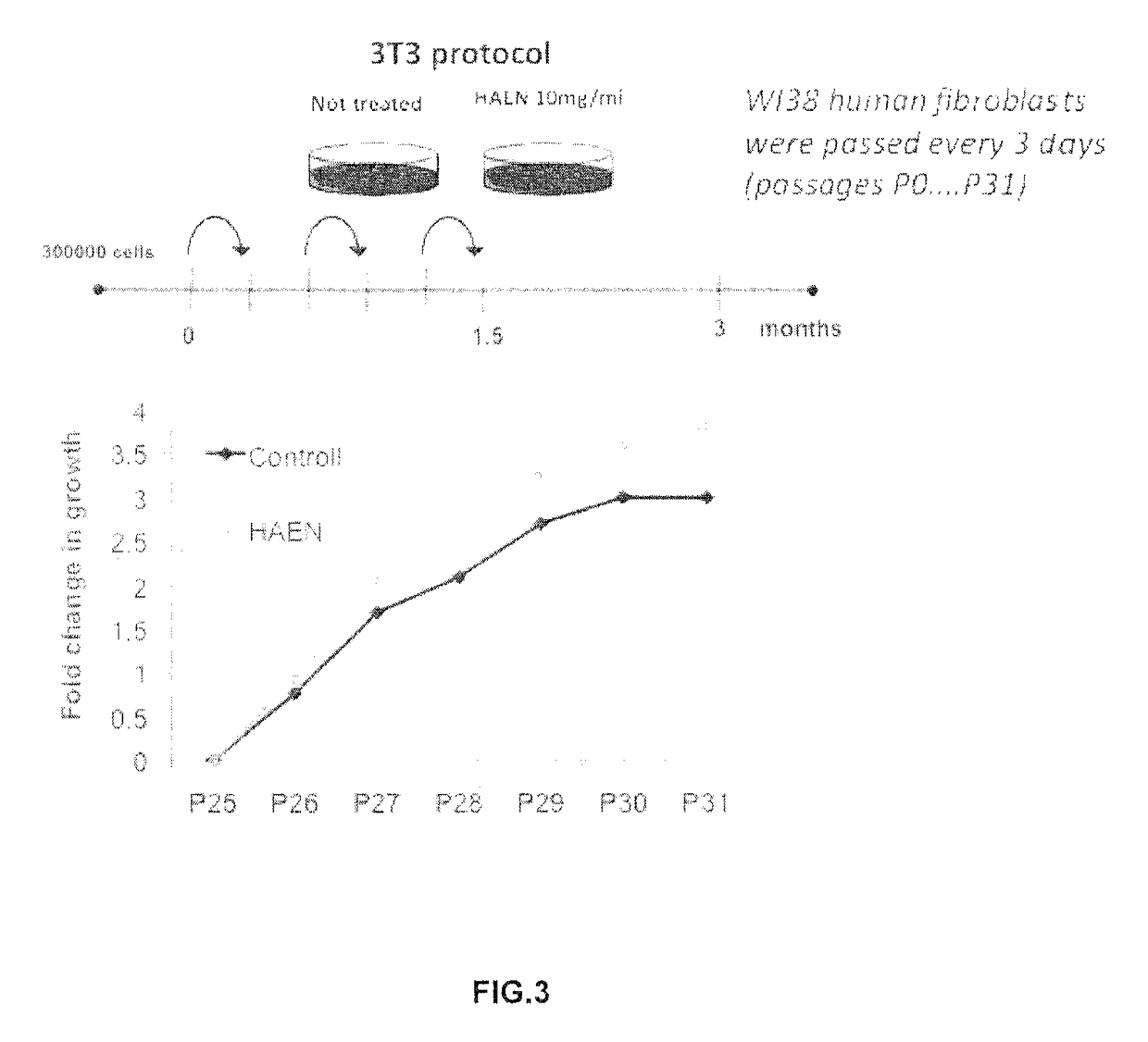 Screening method and substances for contrasting aging