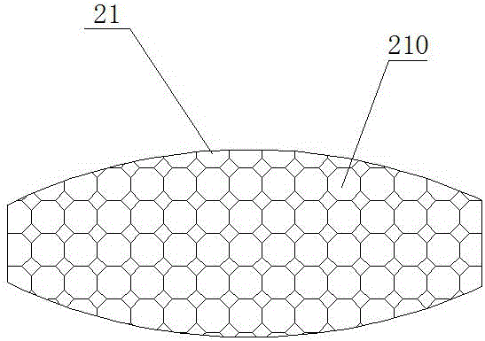 Automobile tail gas purifier