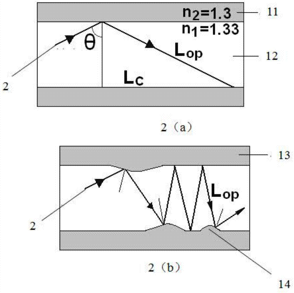 Photometric analyzer based on light guide metal capillary and detection method thereof