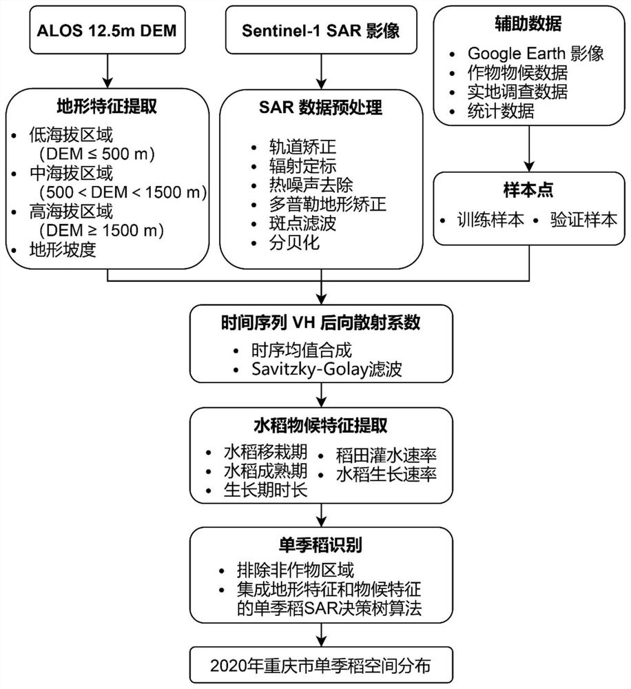 Single cropping rice SAR (Synthetic Aperture Radar) identification method for small and medium-sized fields in complex terrain environment