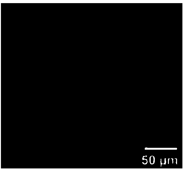 Carrier for microarray biochip, preparation method of carrier and microarray biochip