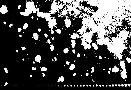 Continuous flow aerobe fluidized bed process