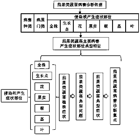 Internet vegetable disease self-help diagnosis method and system based on typical characteristics of eggplant and fruit vegetable diseases