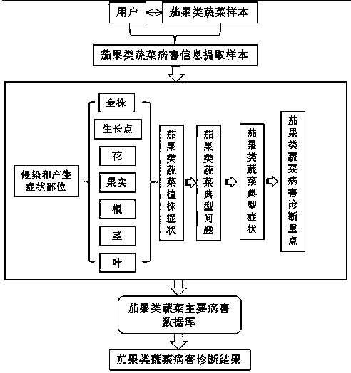 Internet vegetable disease self-help diagnosis method and system based on typical characteristics of eggplant and fruit vegetable diseases