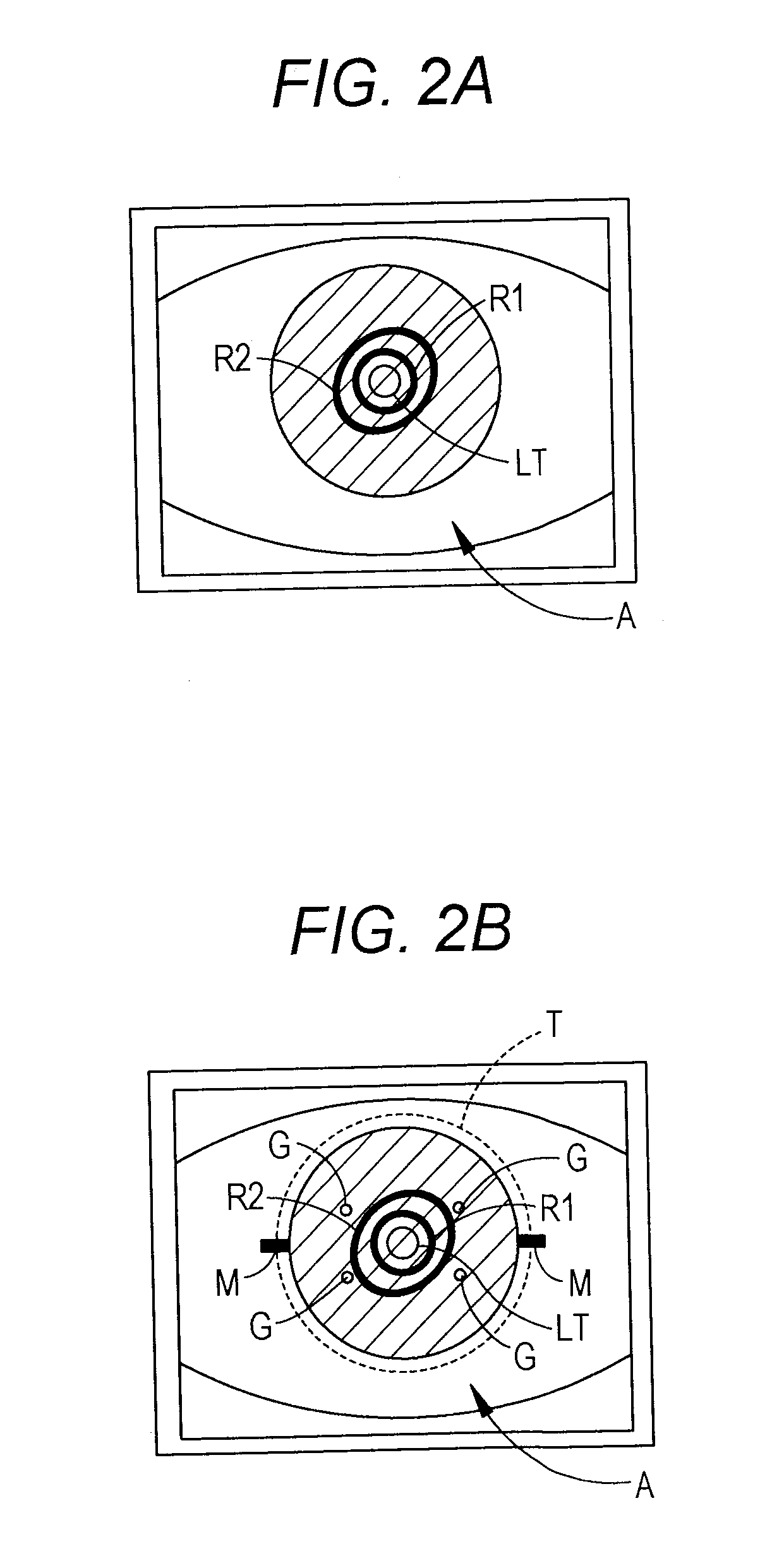 Cornea shape measurement apparatus