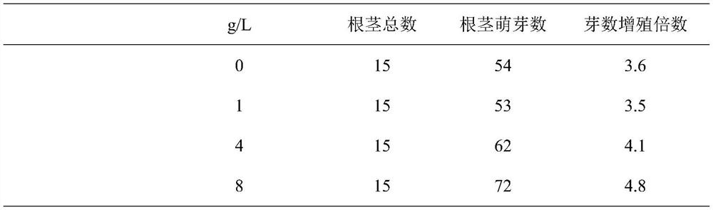 Method for promoting adventitious bud induction and cluster bud proliferation of curcuma zedoary