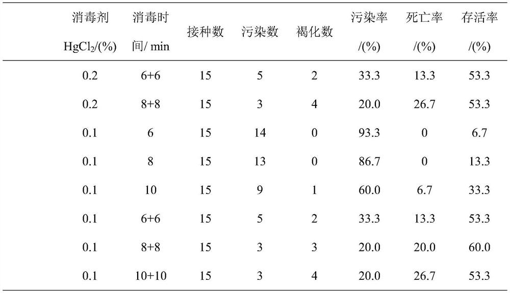 Method for promoting adventitious bud induction and cluster bud proliferation of curcuma zedoary