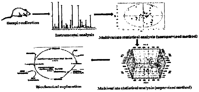 Medicinal composition for colon cancer and method for preparing effective monomers thereof