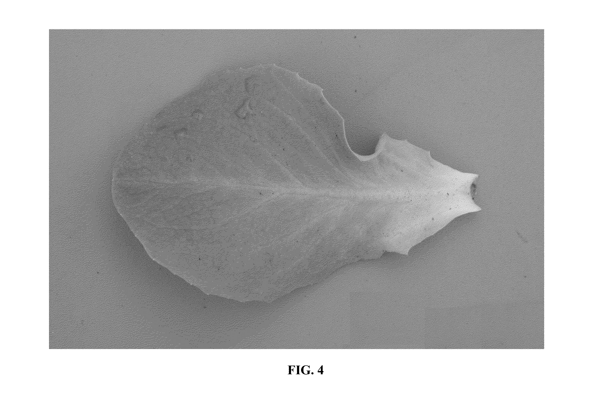 Lettuce variety 79-504 rz