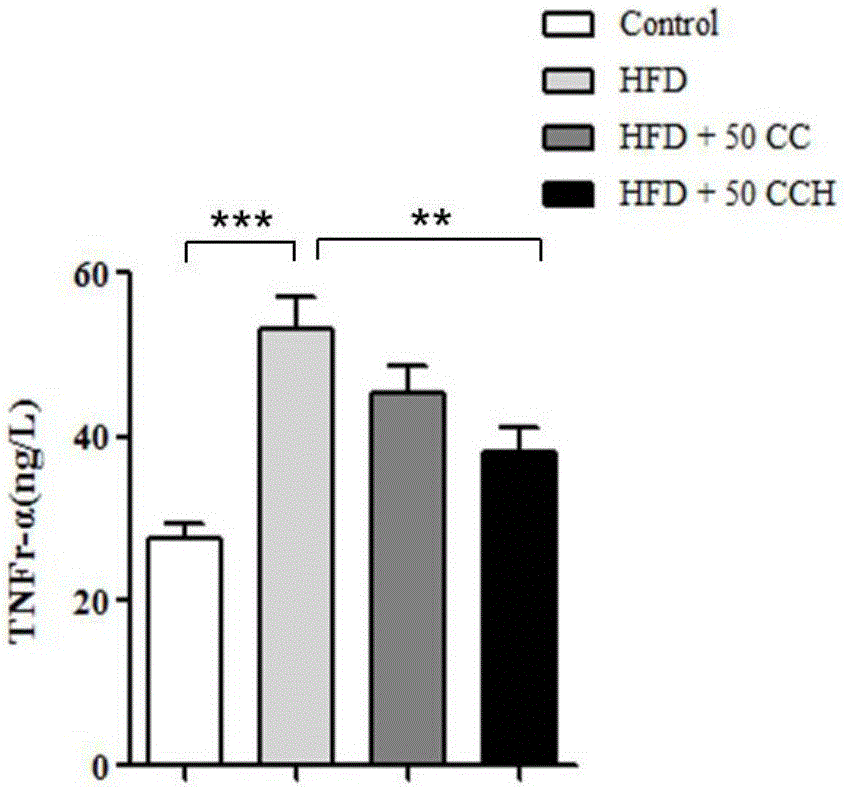 Application of hydrogen molecule solid carrier in preparation of medicine for preventing and treating obesity related metabolic inflammation