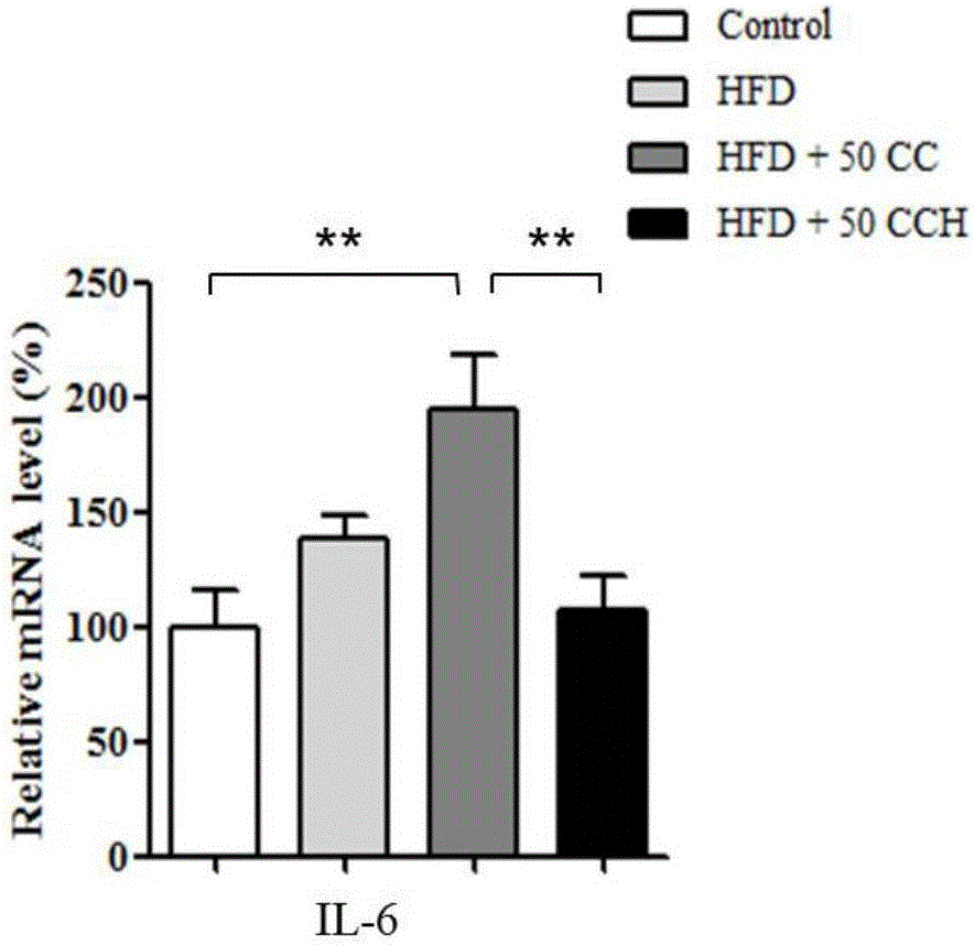 Application of hydrogen molecule solid carrier in preparation of medicine for preventing and treating obesity related metabolic inflammation