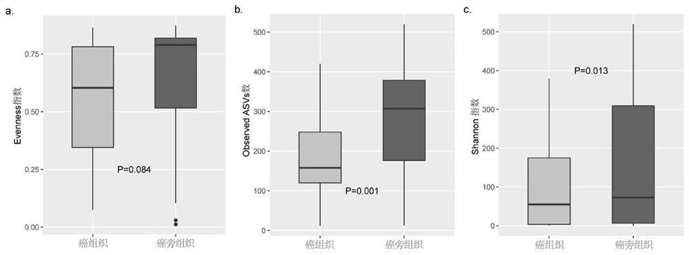 Fungus flora related to esophageal squamous cell carcinoma morbidity, and screening method and application of fungus flora