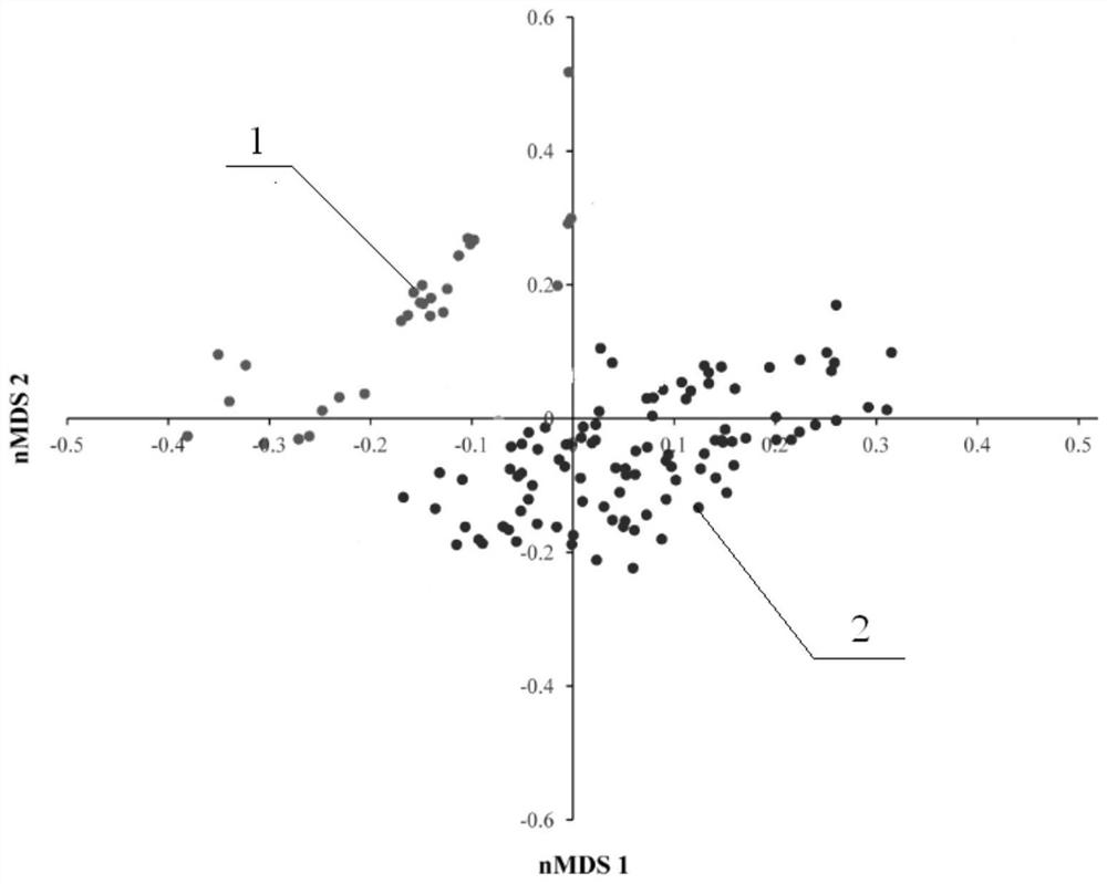 A method for identifying feeding methods of Chinese mitten crabs