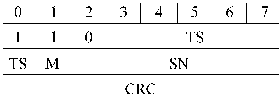 Voice packet loss processing method and device