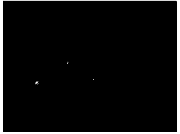 Mucor racemosus strain and its application