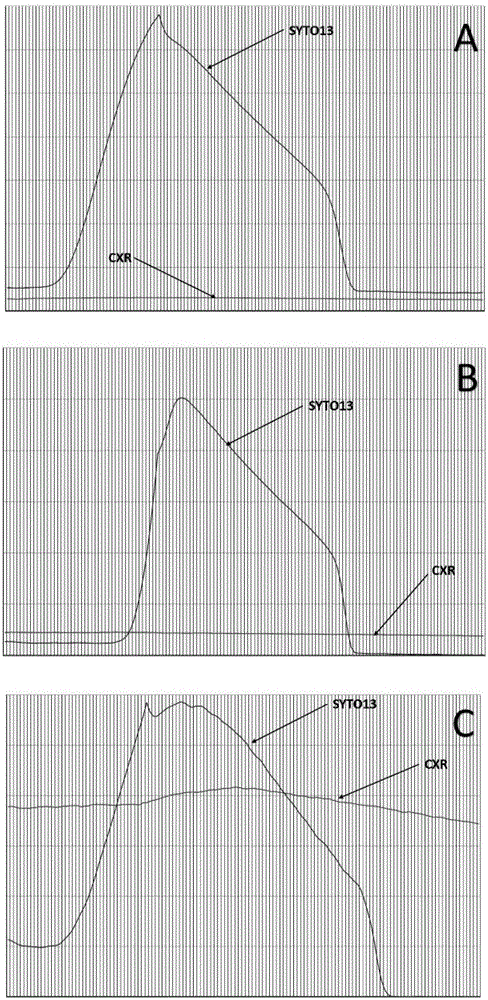 PCR premix liquid of fluorescent quantitative PCR thermal cycler and preparation method and application of PCR premix liquid