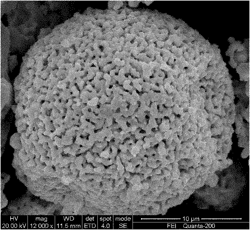 Method for preparing spherical porous silver powder