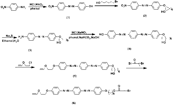 Method for preparing photosensitive graft polymer containing double-azobenzene