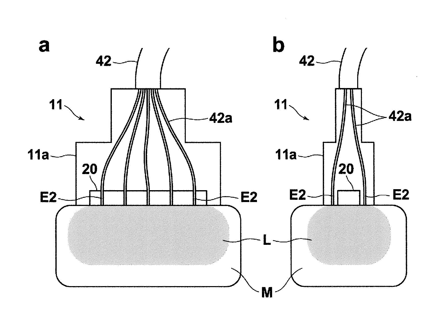 Acoustic wave detection probe and photoacoustic measurement apparatus provided with the same