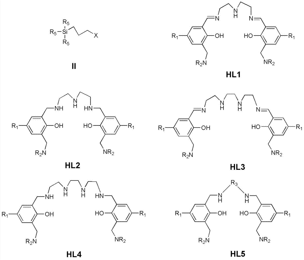 Solid complexation extractant capable of simultaneously adsorbing cation and anion, and preparation and application thereof