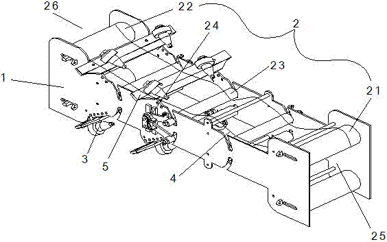 Automatic fish scale removal device