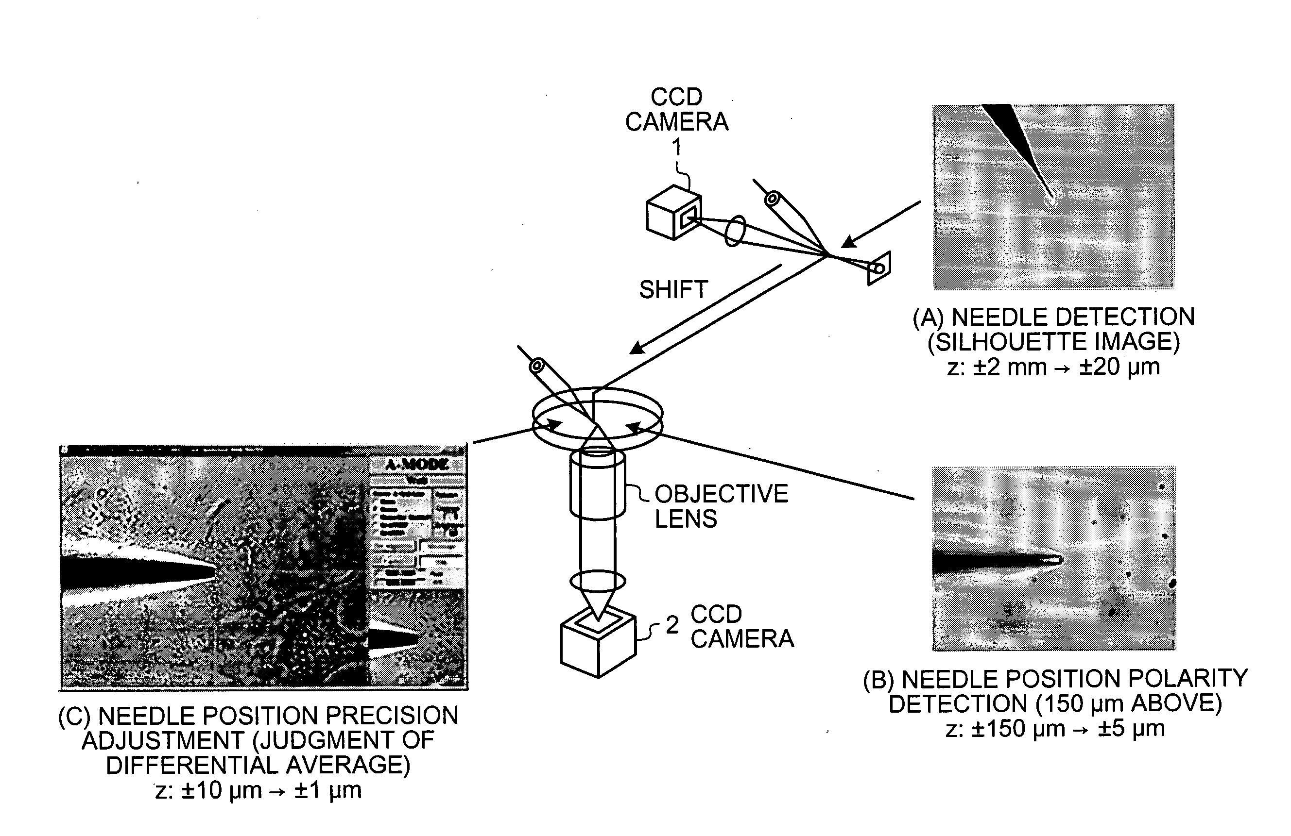 Microinjection apparatus and microinjection method