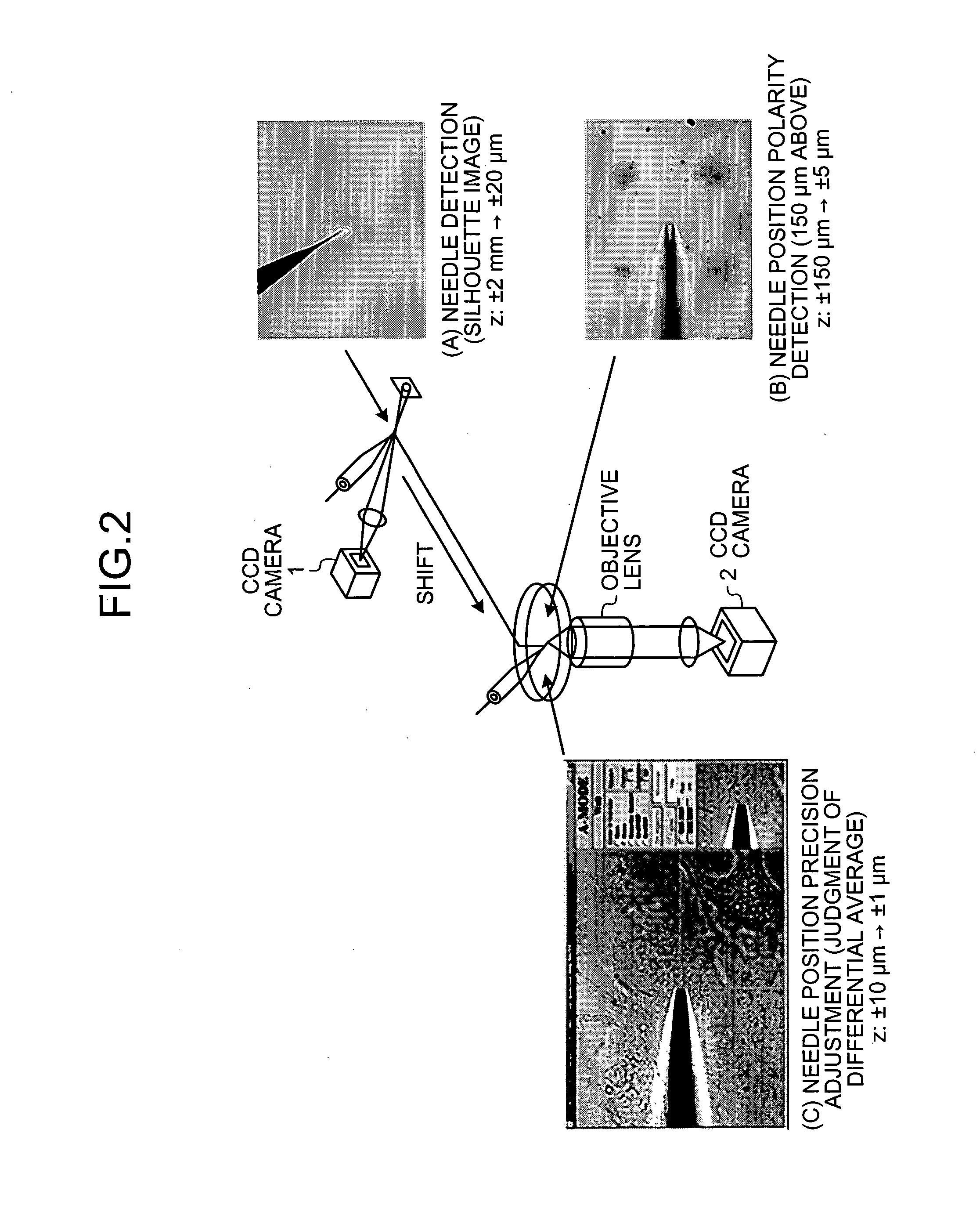 Microinjection apparatus and microinjection method