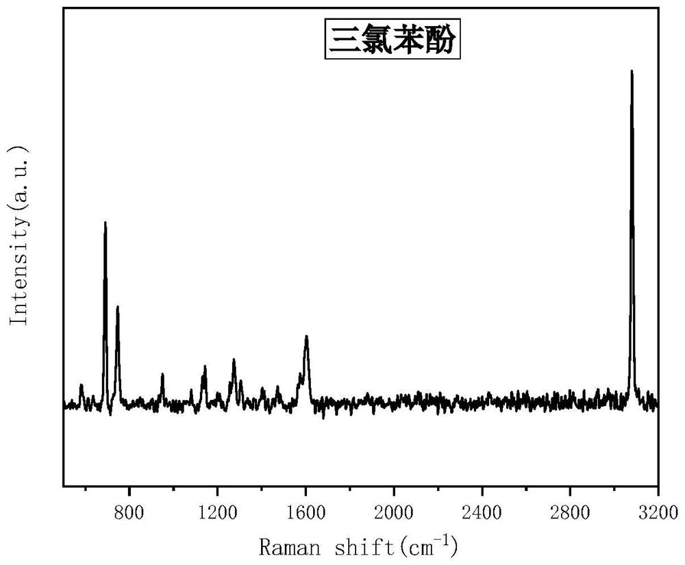 A kind of synthesis method and application of single crystal porous square flaky tungsten nitride nanoparticles