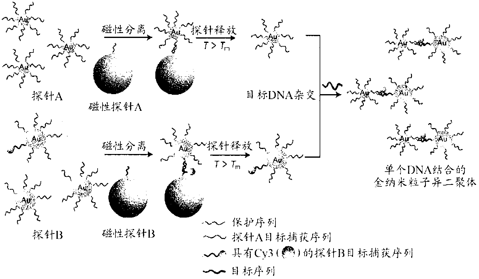 Heterodimer Core-shell Nanoparticle In Which Raman-active Molecules Are Located At A Binding Portion Of A Nanoparticle Heterodimer, Use Thereof, And Method For Preparing Same