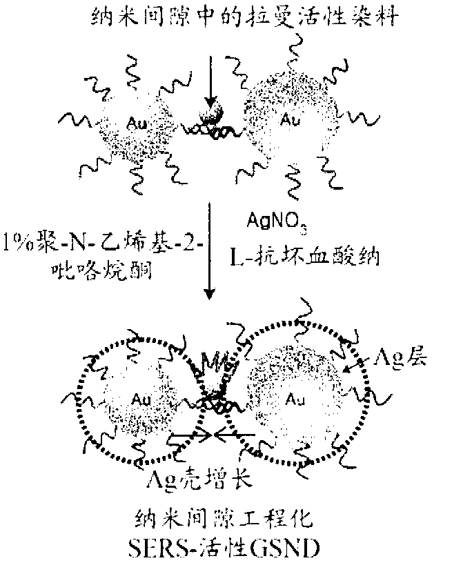 Heterodimer Core-shell Nanoparticle In Which Raman-active Molecules Are Located At A Binding Portion Of A Nanoparticle Heterodimer, Use Thereof, And Method For Preparing Same