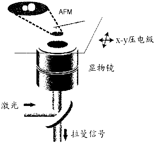 Heterodimer Core-shell Nanoparticle In Which Raman-active Molecules Are Located At A Binding Portion Of A Nanoparticle Heterodimer, Use Thereof, And Method For Preparing Same