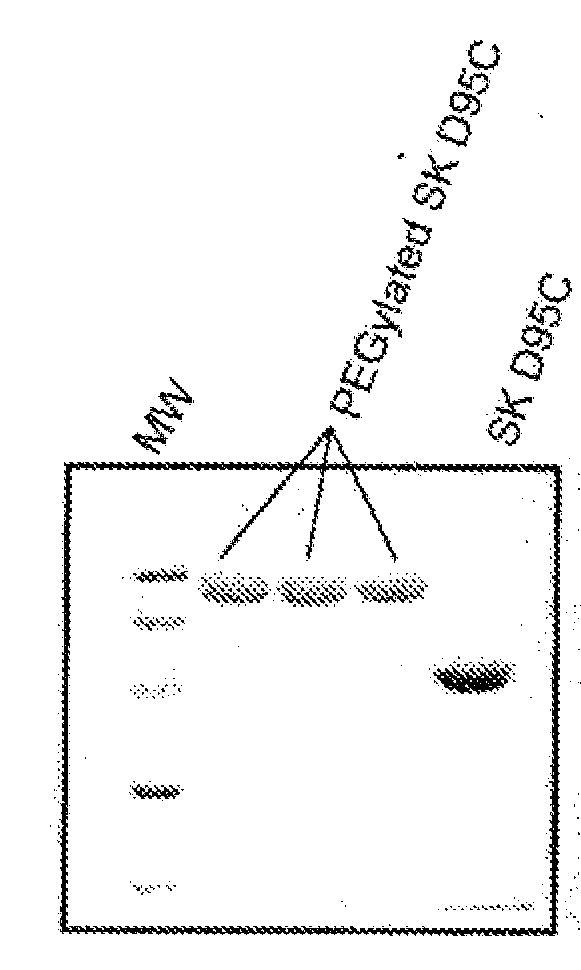 Mutants of streptokinase and their covalently modified forms