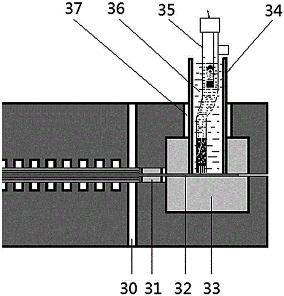 Three-electrode solid electrolyte electrochemical reactor