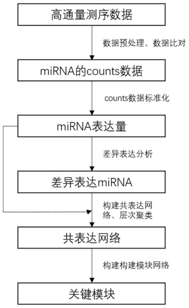 Identification method of key modules in Parkinson's disease evolution based on miRNA sequencing data