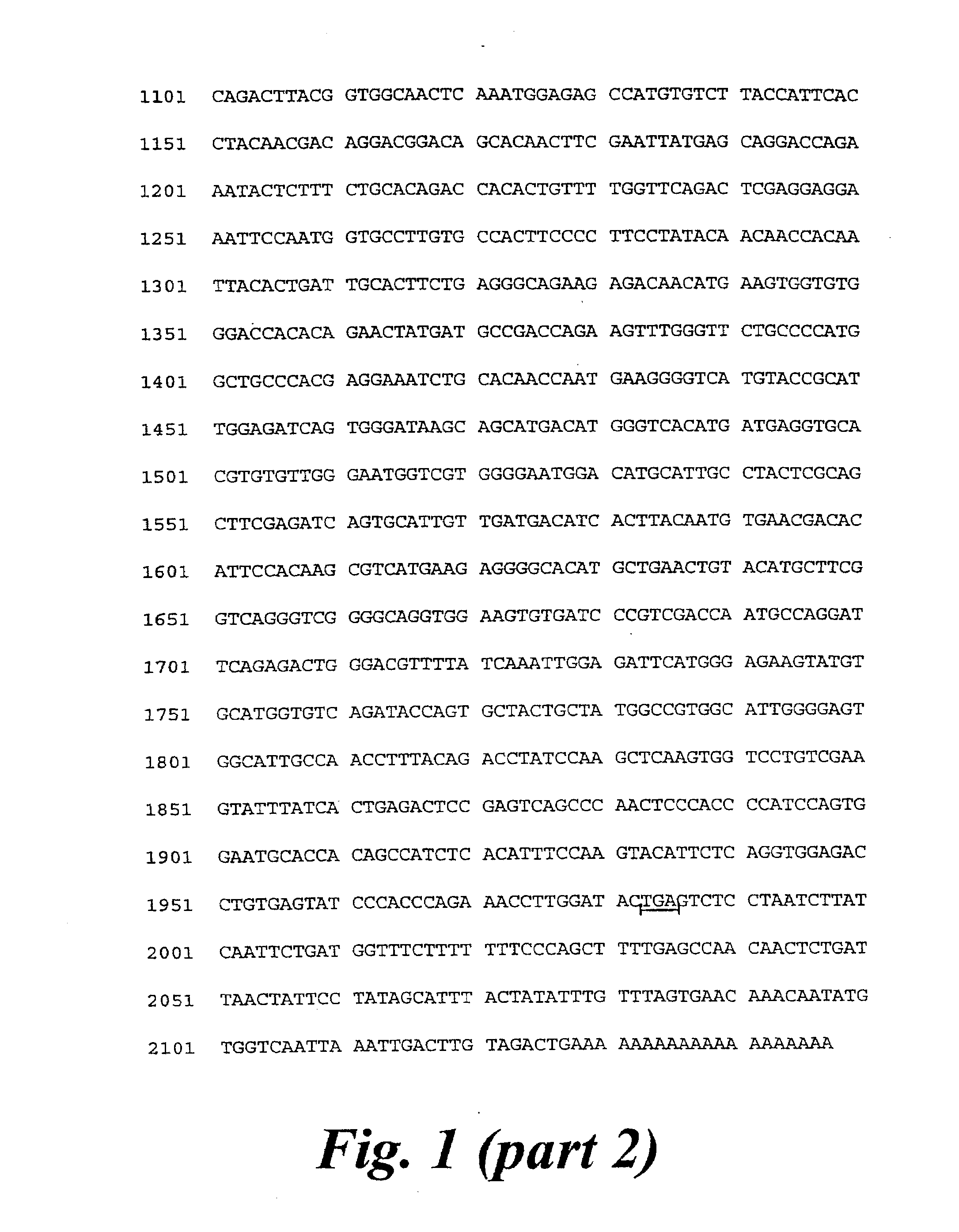 Polypeptides, polynucleotides and uses thereof