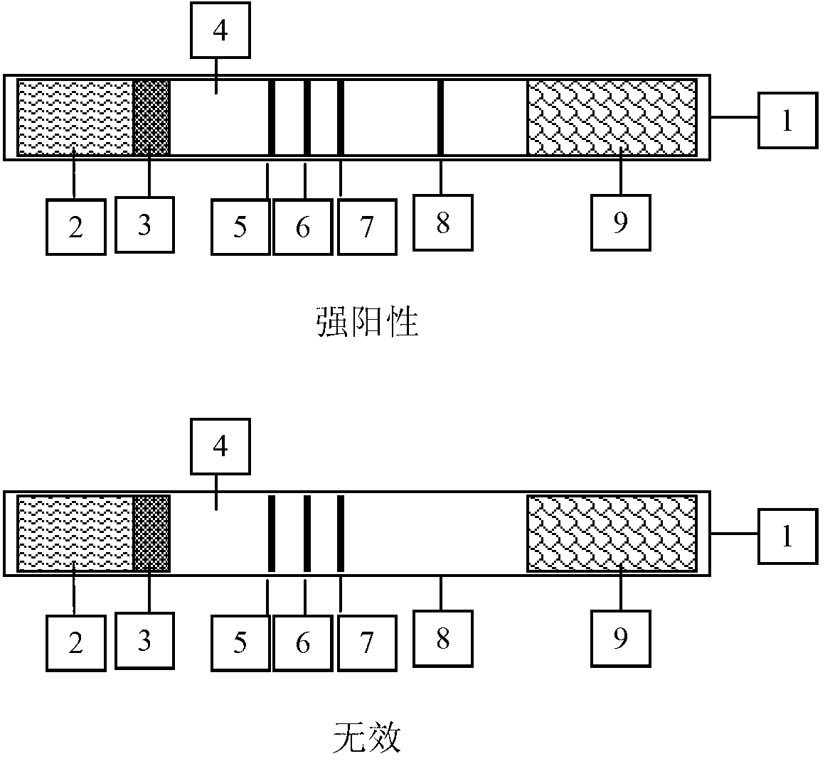 Human blood HSP70 antibody colloidal gold-labeled detection test strip and preparation method thereof